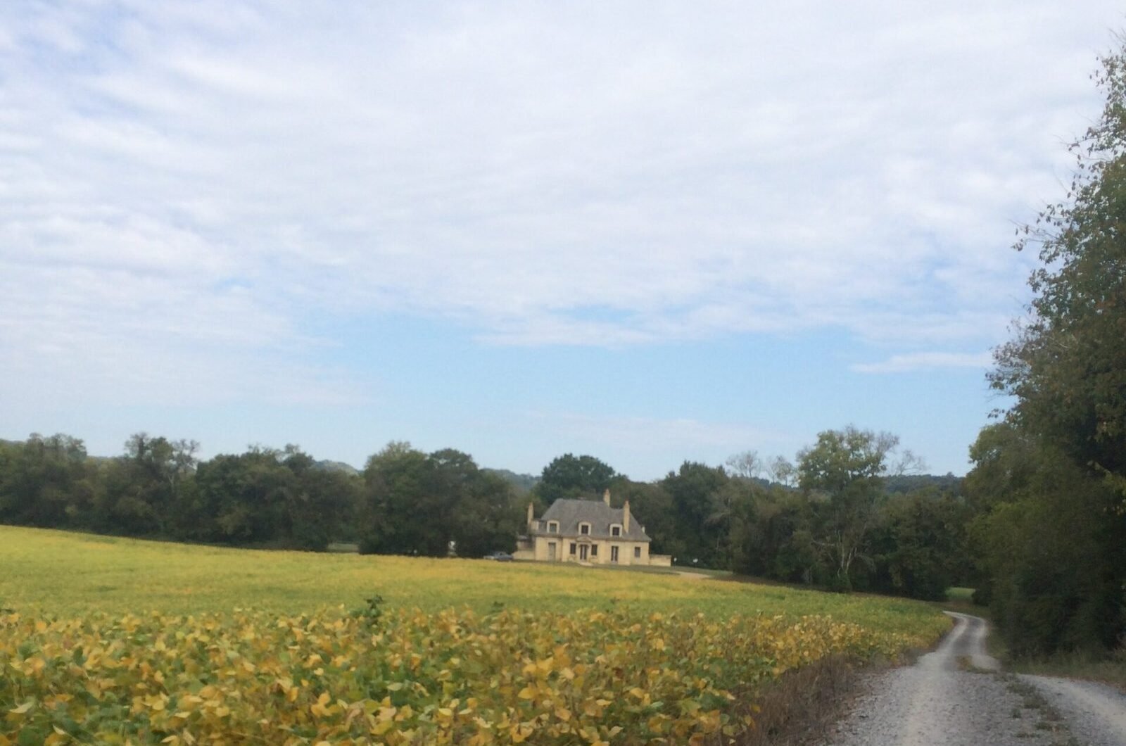 Idyllic "Stone" Custom Concrete French Home out in the country